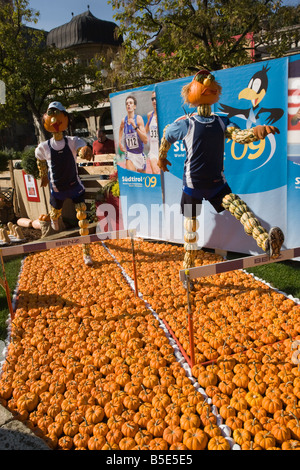 Suis Kürbisfest Waltherplatz en Italy. Festival de la citrouille dans la Piazza Walther à Bolzano Alto Adige Trentino Tyrol du Sud Südtirol Banque D'Images