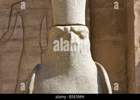 Statue du dieu égyptien Horus à Edfou le Temple d'Horus en Egypte Banque D'Images