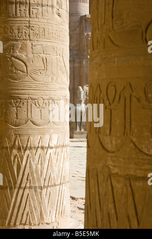 Statue du dieu égyptien Horus à Edfou le Temple d'Horus en Egypte Banque D'Images