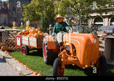 Suis Kürbisfest Waltherplatz en Italy. Festival de la citrouille dans la Piazza Walther à Bolzano Alto Adige Trentino Tyrol du Sud Südtirol Banque D'Images