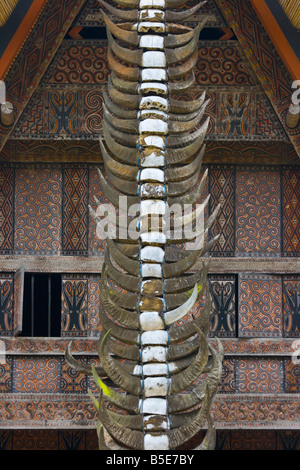 Cornes de buffle d'eau sur une maison traditionnelle Tongkonan à Sadan Village de Tana Toraja sur Sulawesi en Indonésie Banque D'Images