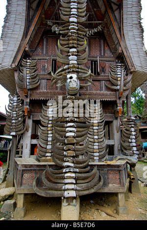 Cornes de buffle d'eau sur une maison traditionnelle Tongkonan en Palawa Village de Tana Toraja sur Sulawesi en Indonésie Banque D'Images