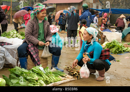 Deux professionnels des femmes tribales de rire sur un étal de légumes frais dans le Nord du marché vietnamien Sapa Banque D'Images