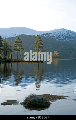 Loch an Eilein Rothiemurchus Strathspey Highland Inverness Ecosse Région 1090 SCO Banque D'Images