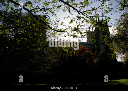 Ville de York, en Angleterre. Vue de l'automne la silhouette d'un arbre dans le parc du doyen de la cathédrale de York dans l'arrière-plan. Banque D'Images