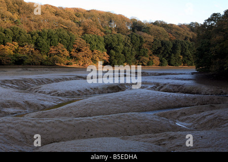 La vase à marée basse près de Pencalenick sur la rivière tresillian paroisse de St Clement Truro Cornwall England UK Banque D'Images