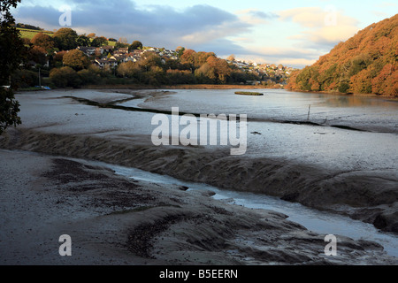 La vase à marée basse près de Pencalenick sur la rivière tresillian paroisse de St Clement Truro Cornwall England UK Banque D'Images