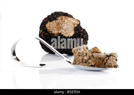 Pesto de truffes sur spoon Banque D'Images