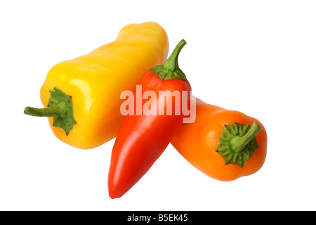 Jaune Rouge et Orange Peppers dentelle sur fond blanc Banque D'Images