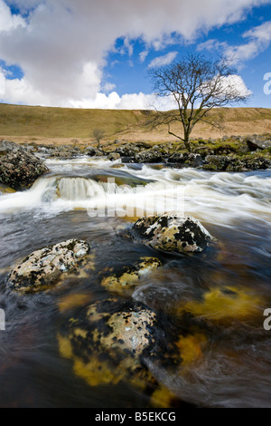 S'écoulant dans la rivière Tavy Tavy Cleave Dartmoor National Park Devon, Angleterre Banque D'Images