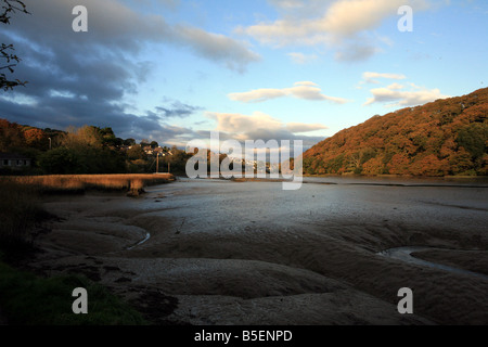 La vase à marée basse près de Pencalenick sur la rivière tresillian paroisse de St Clement Truro Cornwall England UK Banque D'Images