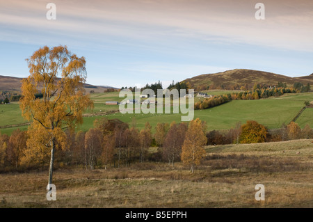 Tirinie, Lude dans Glen Blair Atholl aile Tayside Perthshire Scotland UK Région 1121 SCO Banque D'Images