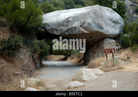 Rock Tunnel Sequoia National Park Banque D'Images