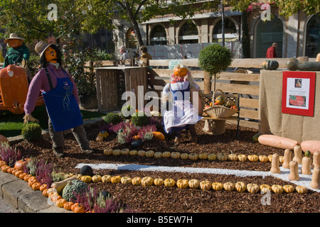 Suis Kürbisfest Waltherplatz en Italy. Festival de la citrouille dans la Piazza Walther à Bolzano Alto Adige Trentino Tyrol du Sud Südtirol Banque D'Images