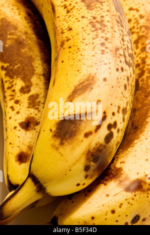 Close up d'un groupe de bananes Banque D'Images