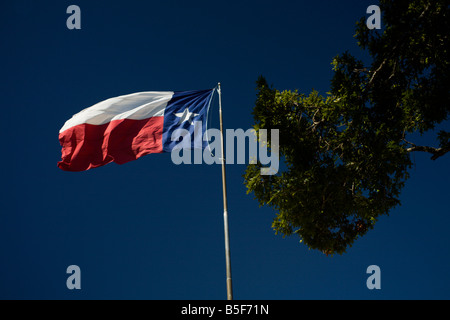 Texas drapeau à breeze Banque D'Images