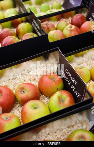 De rares variétés de pommes sur show à Brogdale farm, l'accueil de la collection nationale de fruits, Faversham, Kent, Royaume-Uni. Banque D'Images