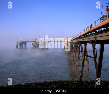 Le brouillard du matin donne un sens à un atterrissage fantomatique jetée sur la rivière Thames Estuary, Kent au Royaume-Uni. Banque D'Images