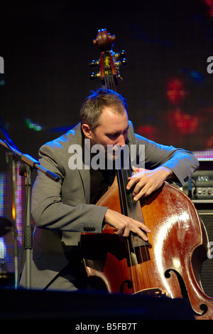 La Bad Plus Reid Anderson bass Banque D'Images