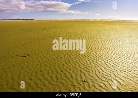 Immense océan beach sur l'île de Vancouver, sur un coucher de soleil Banque D'Images