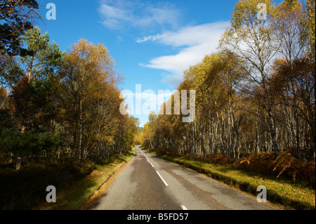 L'Ecosse UK à l'automne Banque D'Images