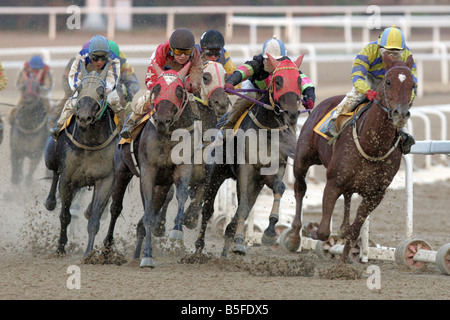 Jockeys sur les chevaux galopant à une course de chevaux, Séoul, Corée du Sud Banque D'Images