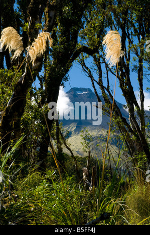 Le Mont Taranaki du Stony River, Tour du Circuit de Montagne, Egmont National Park, North Island, New Zealand Banque D'Images