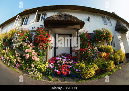 Cottages en été, Branscombe, Devon, England, UK Banque D'Images