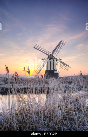 Givre froid gelé avec lever du soleil à Herringfleet moulin sur le Norfolk et le Suffolk Broads Banque D'Images