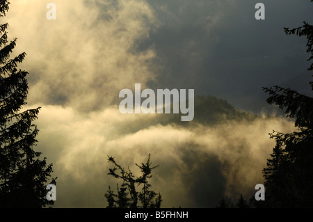 Vue depuis le Rossfeldhoehenringstrasse Windaustrasse Rossfeld (ou l'autoroute panoramique) au crépuscule, Berchtesgaden, Bavière, Allemagne Banque D'Images