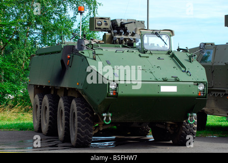 Le Piranha IIIC de l'armée belge, juste en service et remplace le Leopard 1A5 MBT. Banque D'Images