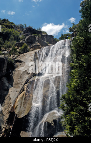 Grizzly Falls à Sequoia National Forest Banque D'Images