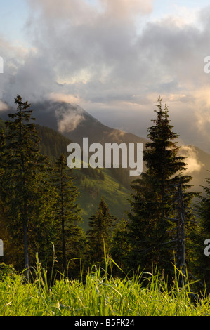 Vue depuis le Rossfeldhoehenringstrasse Windaustrasse Rossfeld (ou l'autoroute panoramique) au crépuscule, Berchtesgaden, Bavière, Allemagne Banque D'Images