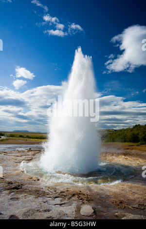 Strokkur ou baratte à Stóri Islande Geysir Banque D'Images