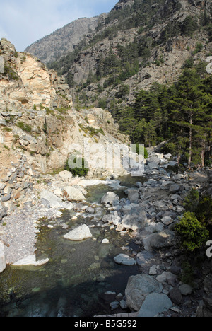 Un flux à travers la zone montagneuse à l'ouest de Corte en Corse du nord Banque D'Images