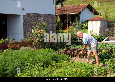 L'homme Basque jardinage dans le village de Sare Pyrenees Atlantiques Pays Basque Sud Ouest France Banque D'Images