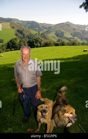 Berger Basque avec des chiens et des moutons paissant dans la vallée de Baztán de la Navarre au nord de l'Espagne Banque D'Images