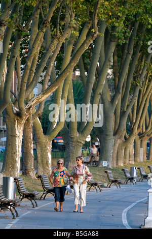 Randonnée pédestre sentier bordé de platanes arbres le long de la rivière Nervion dans la ville de Bilbao BISCAYE Pays Basque nord de l'Espagne Banque D'Images