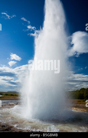 Strokkur ou baratte à Stóri Islande Geysir Banque D'Images