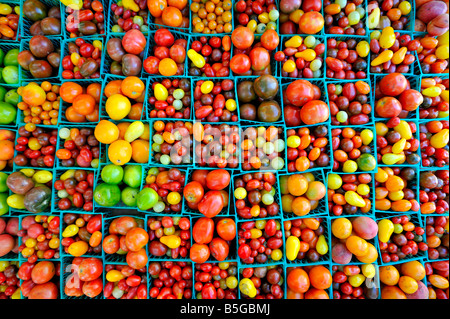 Des tomates pour la vente à un marché vert de la ville de New York. Banque D'Images