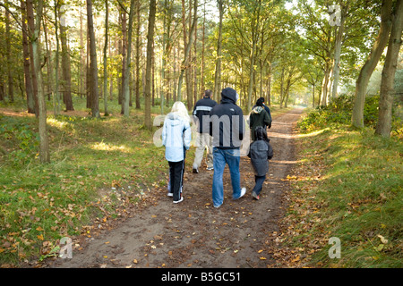 Les gens qui marchent dans les bois, la forêt de Thetford, Norfolk, Angleterre Banque D'Images