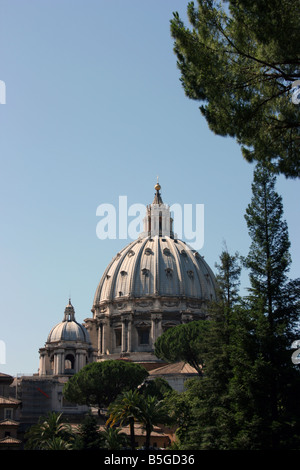 La Basilique St Pierre dôme, vue depuis les jardins du Vatican Banque D'Images