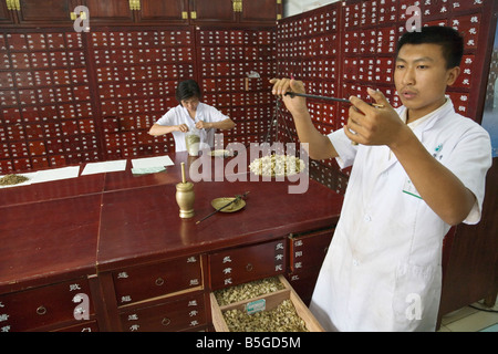 Pharmacien preparing herbal ordonnance à la pharmacie de médecine traditionnelle chinoise Beijing Chine Banque D'Images