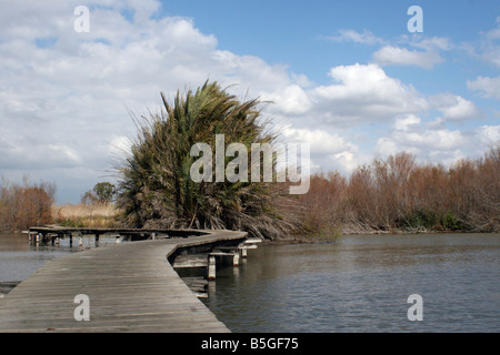 Israël, District Nord Ein Afek réserve naturelle sur la rivière Naaman Banque D'Images