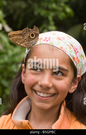 Enfant avec chouette papillon sur le front Banque D'Images