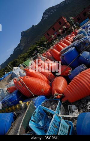 Filet de pêche, le lac de Sabaudia, Canal romain, Parc National de Circeo Latina, Latium, Italie Banque D'Images