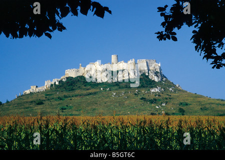 Ruines du château de Spis Spissky Hrad à Spisske Podhradie Hornad Valley dans la région de Spis Slovaquie Banque D'Images