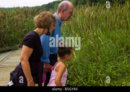 Observe la faune à la famille Huntley Meadows Park dans le comté de Fairfax en Virginie USA Banque D'Images