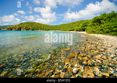 ST JOHN, Îles Vierges américaines — la ligne de flottaison d'une plage pierreuse à Coral Bay sur John, Îles Vierges américaines. Ce littoral pittoresque des Caraïbes, qui fait partie du parc national des îles Vierges, met en valeur la beauté naturelle de l'île avec sa côte rocheuse et ses eaux claires, offrant aux visiteurs un aperçu des divers écosystèmes côtiers des Caraïbes. Banque D'Images