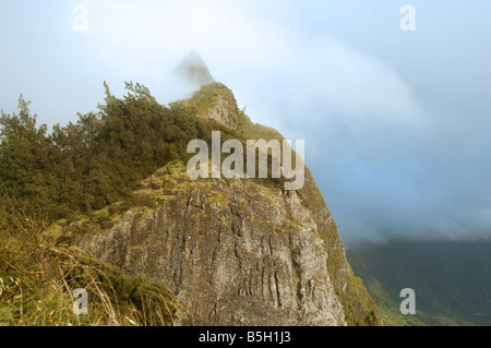 Pic de Pali Pali sur l'île d'Oahu, Hawaii Banque D'Images